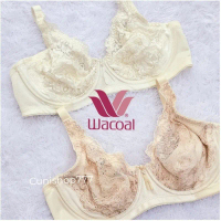 Bra Wacoal Full Cup Pakai Kawat Tanpa Busa Lace Renda Bh Wanita Brukat Brokat Ib 8008 Ib8008 K12533