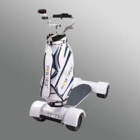 Factory Direct Supply 10.5 Inch Fat Tire Electric Golf Board 60V Electric Golf Cart Scooter With CE