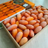 KURMA RUTHOB LIBYA KEMASAN 1KG