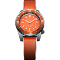 Seagull Colour Holiday Titanium Alloy Case Ocean Star Self-wind Automatic Mechanical 20Bar Men's Diving Swimming Sport Watch