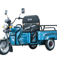48V 600W Electric Other Tricycles for Adult