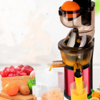 slow juicer stain less steel/2022 new arrival electric fruit cheap slow juicer