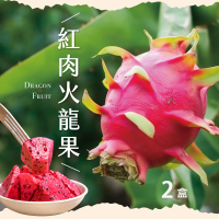 【初品果】台南白河紅肉火龍果5斤6-9顆x2盒(含豐富紅甜花素_清甜多汁)