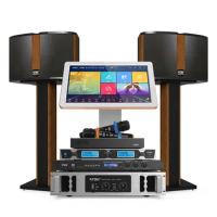 Atsh P9 family KTV audio equipment family living room singing 10 inch sound speaker 2.0 theater karaoke speaker amplifier system