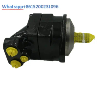 F11 F11-005 F11-019 Hydraulic Pump F11-019-rb-cn-k-000 High Quality F11-005-mb-cv-k-209-0000 Plunger Motor
