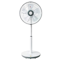 Panasonic 國際牌 14吋微電腦DC直流電風扇 F-S14KM