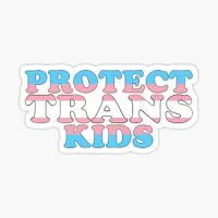 Protect Trans Kids Flag Text 5PCS Stickers for Window Kid Funny Cartoon Laptop Anime Decorations Home Stickers Decor Car Print