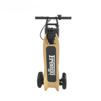 Freego 3 wheel mobility folding electric scooter for adultcustom