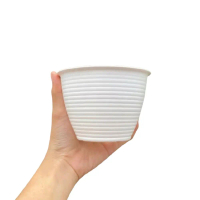 (Termurah) Pot Tanaman Hias - Pot Hias Semua Jenis Tanaman - Pot Bunga Aesthetic - Pot Putih Tawon