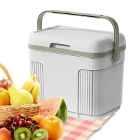 Camping Ice Chest 10L Portable Cooler Camping Refrigerator Freezer Box Hard Picnic &amp; Lunch Box Cooler Insulated Boxes For