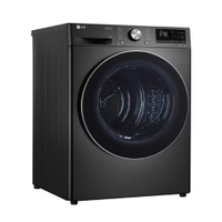 LG 樂金 雙迴轉 變頻 免曬衣 乾衣機 10公斤 (不含安裝不含運) /台 WR-100VB