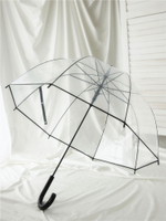 透明傘女 公主風拱形傘蘑菇傘彎柄傘純色雨傘抗風英倫長柄傘