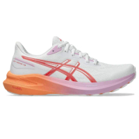 【asics 亞瑟士】GT-1000 13 女款 支撐 慢跑鞋(1012B663-101)