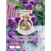 Bibit Premium Bunga Mawar Rambat Ungu | Bibit Climbing Purple Rose