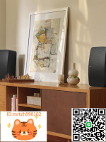 SONOS Five 家用智能音響無線wifi非音箱play5升級環繞家影-淘淘屋