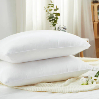【DUYAN 竹漾】買一送一 熱賣舒眠好枕 多款枕頭任選(均一價)