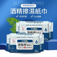 【哈嘍24h】酒精擦濕紙巾20抽 75%酒精(1入)