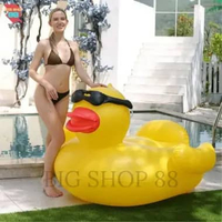 Ban Kasur Matras Pelampung Air Berenang Renang Stik Floaties Mat Anak Anak Dewasa Besar Jumbo Aesthe