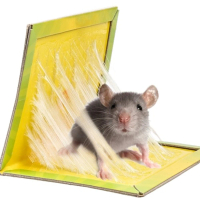 【芊芊居家】5入 強力黏鼠板 捕鼠板(捕鼠神器 黏性超強 自由摺疊)