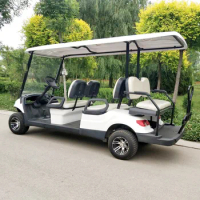 Electric Battery Golf Cart with Professional Meter CE Approved 2 Seat 4 Seats Battery Powered Golf Cart