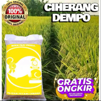 BENIH BIBIT PADI SUPER CIHERANG DEMPO ORIGINAL KEMASAN 1KG