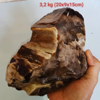 batu fosil galih kelor kristal (495)