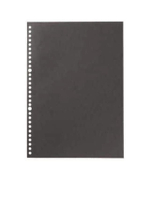 NOTEBOOK TYPE LOOSE LEAF BK A4