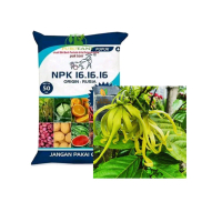 pupuk npk 161616 bunga kenanga