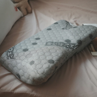 [ 石墨烯蝴蝶枕 ] 60X30cm 天絲針織刺繡石墨烯透氣表布 台灣製 枕頭 禮物 棉床本舖