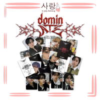 8pcs Stray Kids《DOMINATE STAY ZONE》Cards Set Collection Kpop Photocard Kad Foto SKZ