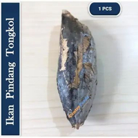 Ikan Cue Tongkol - Cakalang Pindang | Size 160-250gr [ Harga Per PCS ]