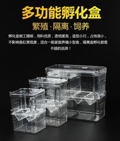 【全球優品滙】免運限時下殺魚缸 隔離盒 孔雀魚 繁殖盒 熱帶魚 小魚 孵化盒 大小號 幼魚 孵化 器 產卵房