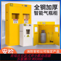 {公司貨 最低價}全鋼防爆氣瓶柜安全柜實驗室雙瓶煤氣罐乙炔氮氣氫氣體鋼瓶儲存柜