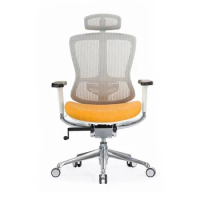Top Quality Computer Rolling Price Ergonomic Kneeling Best Ergo Office Chair