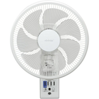 免運 日本 TOYOTOMI FW-3024 壁掛式 風扇 電扇 壁掛扇 壁扇 掛扇 防靜電防塵 定時功能 3段風量 日本代購