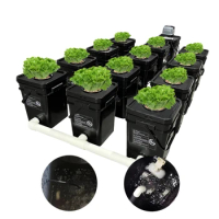 RDWC 12 buckets recirculating Hydroponic system air pump and cycle pump clone bucket hydroponic cont