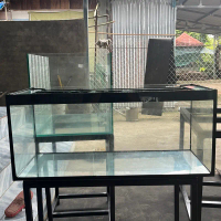 Hồ kính 70x30 x 30 bã keo đen có kiềng viền kính full 8li ship miền  nam và miền  trung