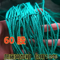 植物爬藤網絲瓜苦瓜瓜蔞葡萄百香果爬藤網攀爬網藤蔓植物搭架網
