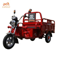 800w Electric Three Wheeler Electric Tricycle Carriage Electric Tricycle For Goods For Sale