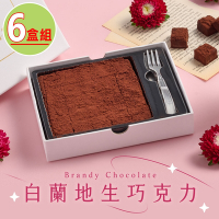 【拾青春Legumes】白蘭地生巧克力6盒(155g±10％/盒)黑巧克力