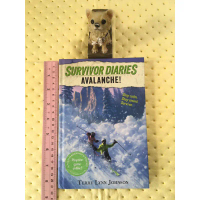 Survivor Diaries : Avalanche! by Terry Lynn Johnson หนังสือวรรณกรรมภาษาอังกฤษ(ปกแข็งมือสอง)