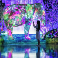 【暑假九州親子樂】麵包超人博物館、teamLab、採果遊船、湯布院、雙溫泉＆螃蟹｜無購物五日(暑假團旅)