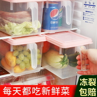 冰箱收納盒廚房雞蛋餃子裝食品神器飲料冷凍箱蔬菜水果保鮮展示盒