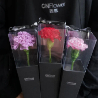 【CNFlower 西恩】恆星康乃馨 單支康乃馨錐盒 三色(永生花/浪漫/驚喜/居家擺飾)