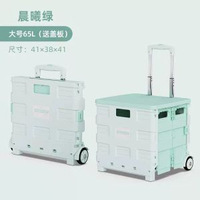 便攜摺疊購物車買餸車小拉車萬向輪塑膠拉桿車小推車