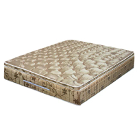 【ASSARI】完美機能5CM乳膠備長炭三線強化側邊獨立筒床墊(單人3尺)