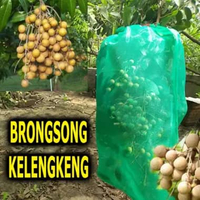 Brongsong Pembungkus Buah Kelengkeng Besar - Eceran