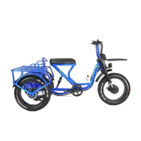 Electric Tricycle Hunting Cargo Electric Trike 20 Inch Fat Tire Electric Bike 3 Wheel E Trike with 48V 500W Dual Motor