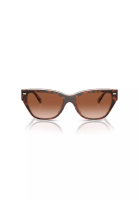 COACH Coach Women's Cat Eye Frame Brown Acetate Sunglasses - HC8370U
