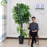 仿真發財樹盆栽客廳花大型綠植擺件假花裝飾室內落地辦公室植物樹 雙11特惠